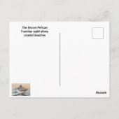 Bruin Pelican-profiel Briefkaart (Achterkant)