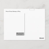 Bruin Pelican Resting on Piling Briefkaart (Achterkant)