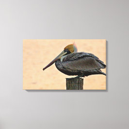 Bruin Pelican Resting on Piling Canvas Afdruk