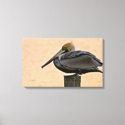 Bruin Pelican Resting on Piling Canvas Afdruk (Voorkant)