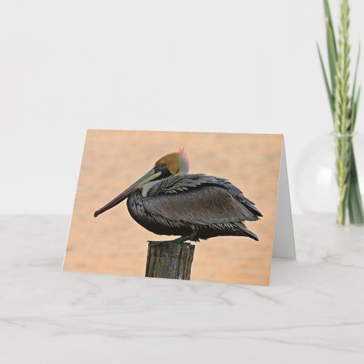 Bruin Pelican Resting on Piling Canvas Print Kaart (Voorkant)