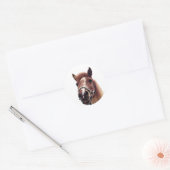 Bruin Pony Ronde Sticker (Envelop)