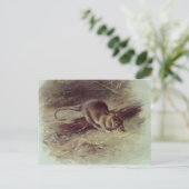 Bruin Rat 1918 Briefkaart (Staand voorkant)