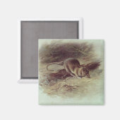 Bruin Rat 1918 Magneet (Voorkant / Achterkant)
