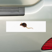 Bruin Rat Bumpersticker (Op auto)