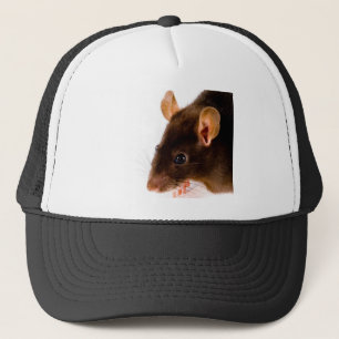 Bruin Rat Trucker Pet