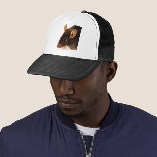 Bruin Rat Trucker Pet (In situ)