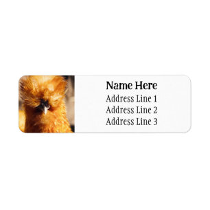 Bruin Silkie Huisdier Kip Retouradres Etiket