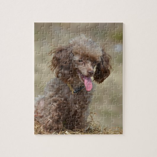 Bruin Speelgoed Poodle Legpuzzel (Verticaal)