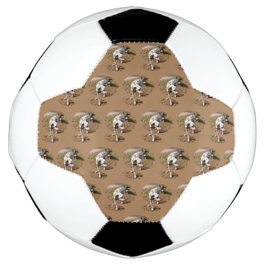 Bruin Spotty Dalmatian Voetbal (Voorkant)