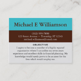 Bruin Stripe Blue RESUME Visitekaartjes