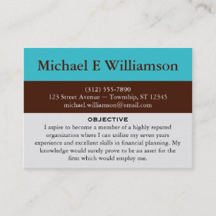 Bruin Stripe Blue RESUME Visitekaartjes