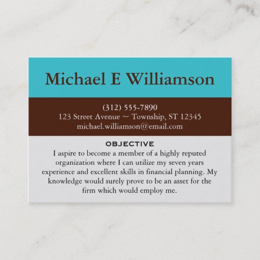 Bruin Stripe Blue RESUME Visitekaartjes (Voorkant)