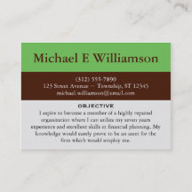 Bruin Stripe Green RESUME Visitekaartjes