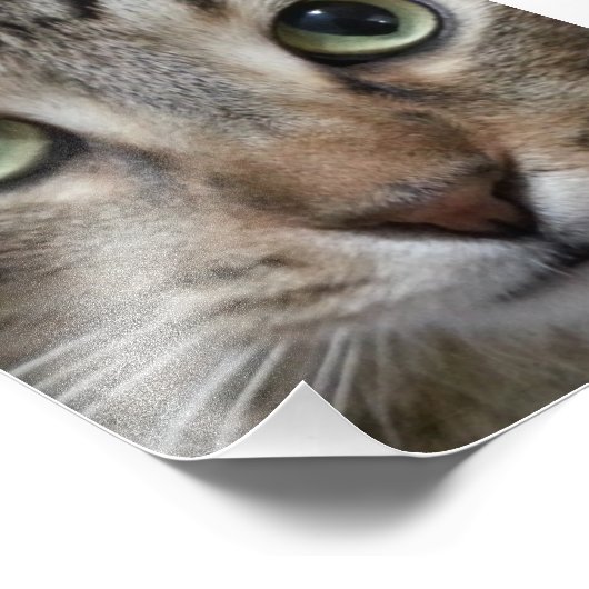 Bruin tablet foto afdruk (Hoek)