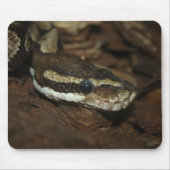 Bruin tapijt Python Muismat (Voorkant)