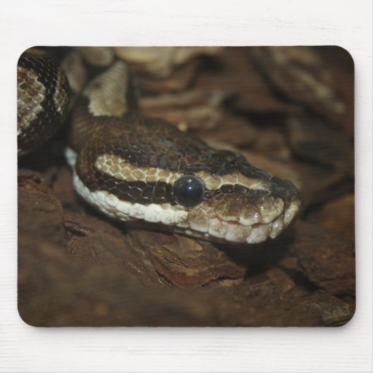 Bruin tapijt Python Muismat (Voorkant)