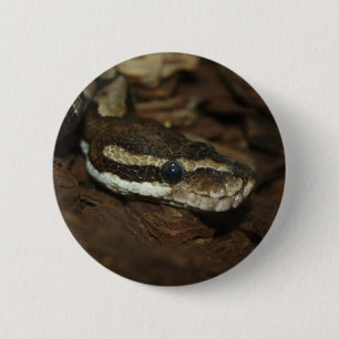 Bruin tapijt Python Ronde Button 5,7 Cm