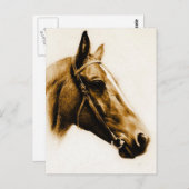 Bruin Tones Paardenportret Briefkaart (Voorkant / Achterkant)