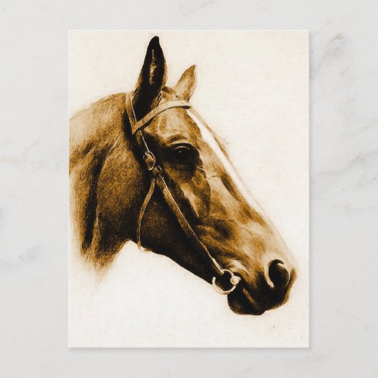 Bruin Tones Paardenportret Briefkaart (Voorkant)