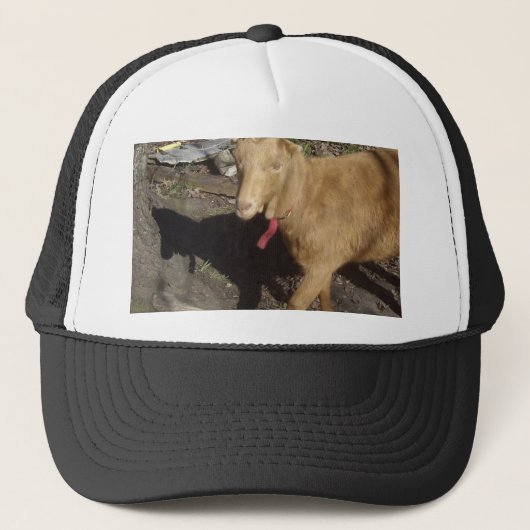 Bruin Trucker Pet (Voorkant)