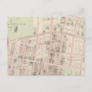 Bruin Universiteit Briefkaart