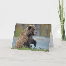 Bruin van Alaska draagt in Kenai NWR Kaart