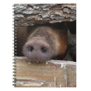 Bruin varkensreuksnoer door bijtende hek notitieboek