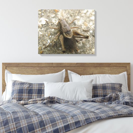 Bruin Veld Cricket Canvas Print (Insitu (Slaapkamer))