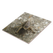 Bruin veld cricket Tile Tegeltje (Zijkant)