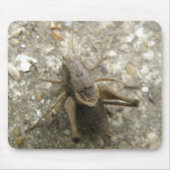 Bruin Veldkrek Muismat (Voorkant)