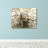 Bruin Veldkrekel Canvasprint Canvas Afdruk (Insitu (Houten vloer))
