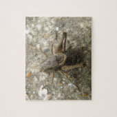 Bruin-vellen cricket Puzzle Legpuzzel (Verticaal)