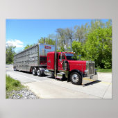 Bruin vervoer 379 Poster (Voorkant)