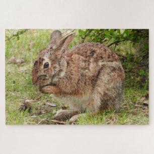 Bruin, wild Bunny Rabbit bidden Legpuzzel