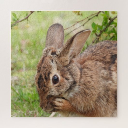 Bruin, wild Bunny Rabbit OH MY Legpuzzel (Horizontaal)