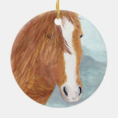 Bruin Wild Horse Blue Mountain Lake - acryl. Keramisch Ornament (Achterkant)