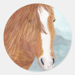 Bruin Wild Horse Blue Mountain Lake - acryl. Ronde Sticker