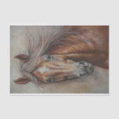 Bruin Wild Horse Closeup Decoupage Tissue Papier (Voorkant)