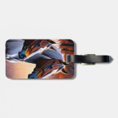 Bruin-witte bruinpaarden, Bagagelabel (Achterkant horizontaal)