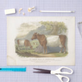 Bruin Witte Koe Ephemera Decoupage Boerderij Tissuepapier (Craft)