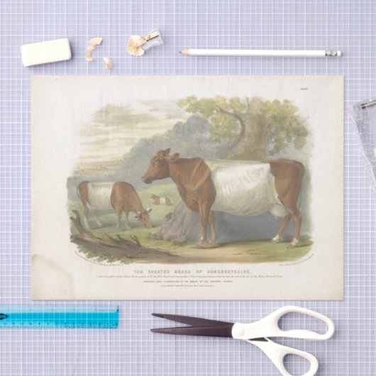 Bruin Witte Koe Ephemera Decoupage Boerderij Tissuepapier (Craft)