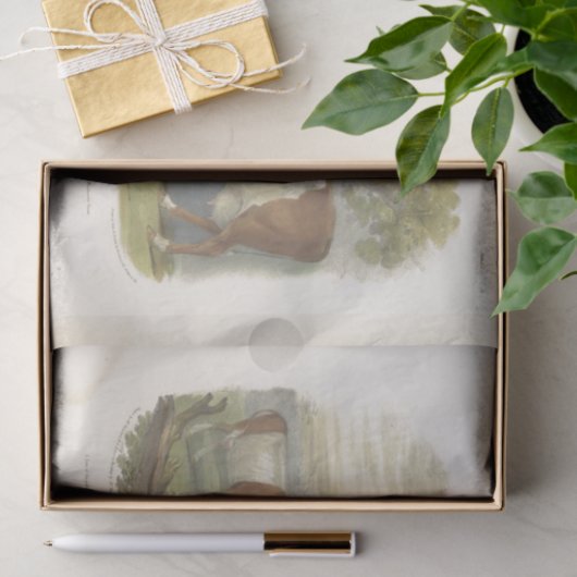 Bruin Witte Koe Ephemera Decoupage Boerderij Tissuepapier (Geschenk)