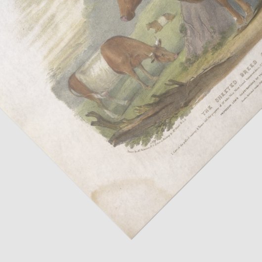 Bruin Witte Koe Ephemera Decoupage Boerderij Tissuepapier (Detail)