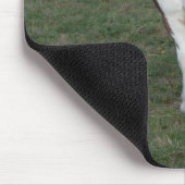 Bruin-witte paarden muismat (Hoek)