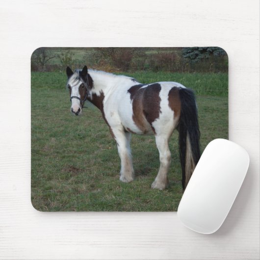 Bruin-witte paarden muismat (Met muis)