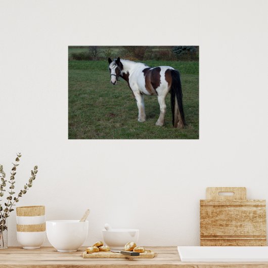 Bruin-witte paarden poster (Keuken)