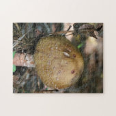 Bruin Woodland Natuur champignon Legpuzzel (Horizontaal)