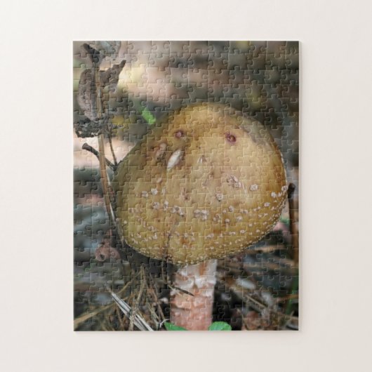 Bruin Woodland Natuur champignon Legpuzzel (Verticaal)