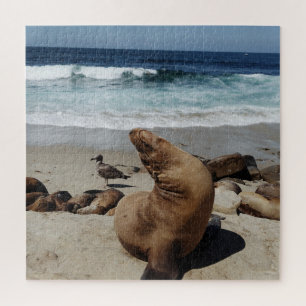 Bruin Zee Loon op strand Legpuzzel